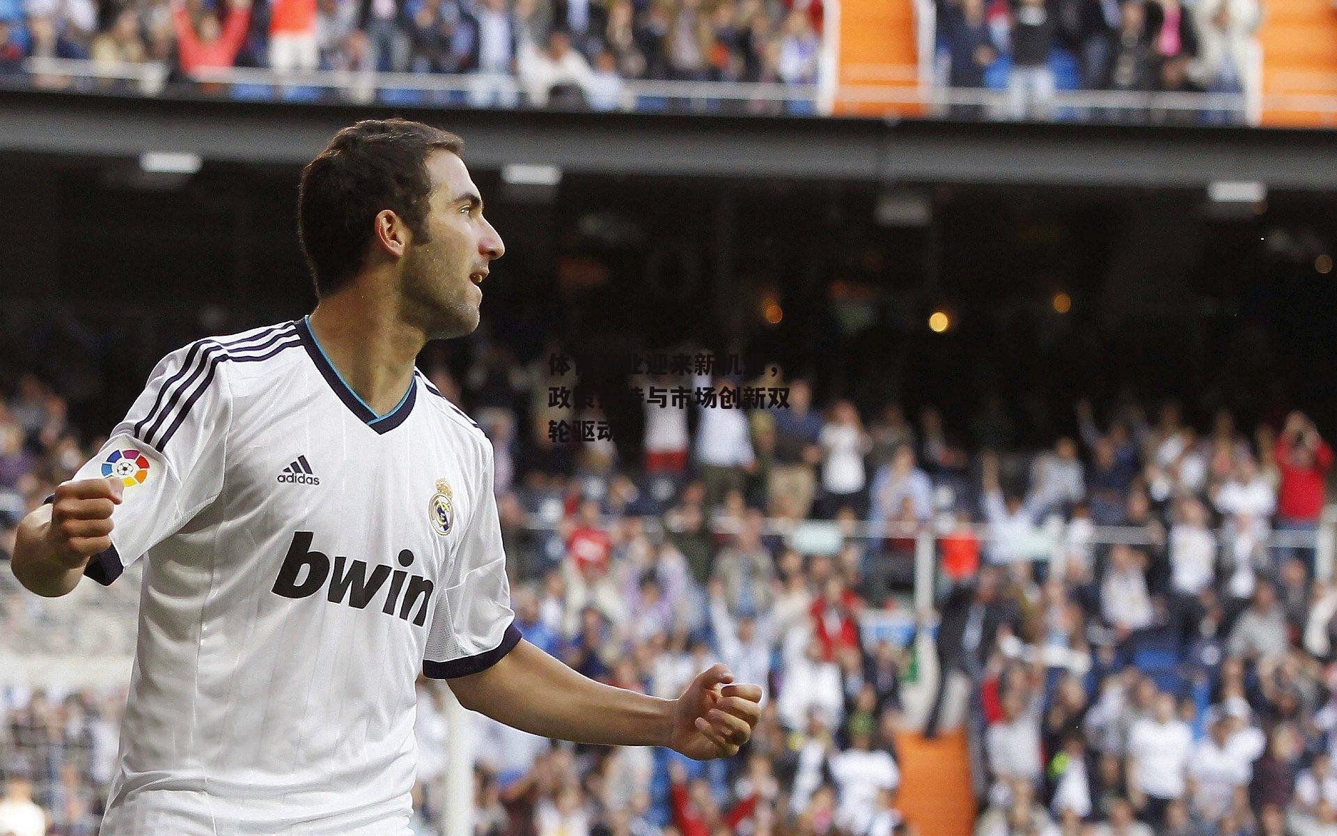 ac米兰|体育产业迎来新机遇，政策扶持与市场创新双轮驱动